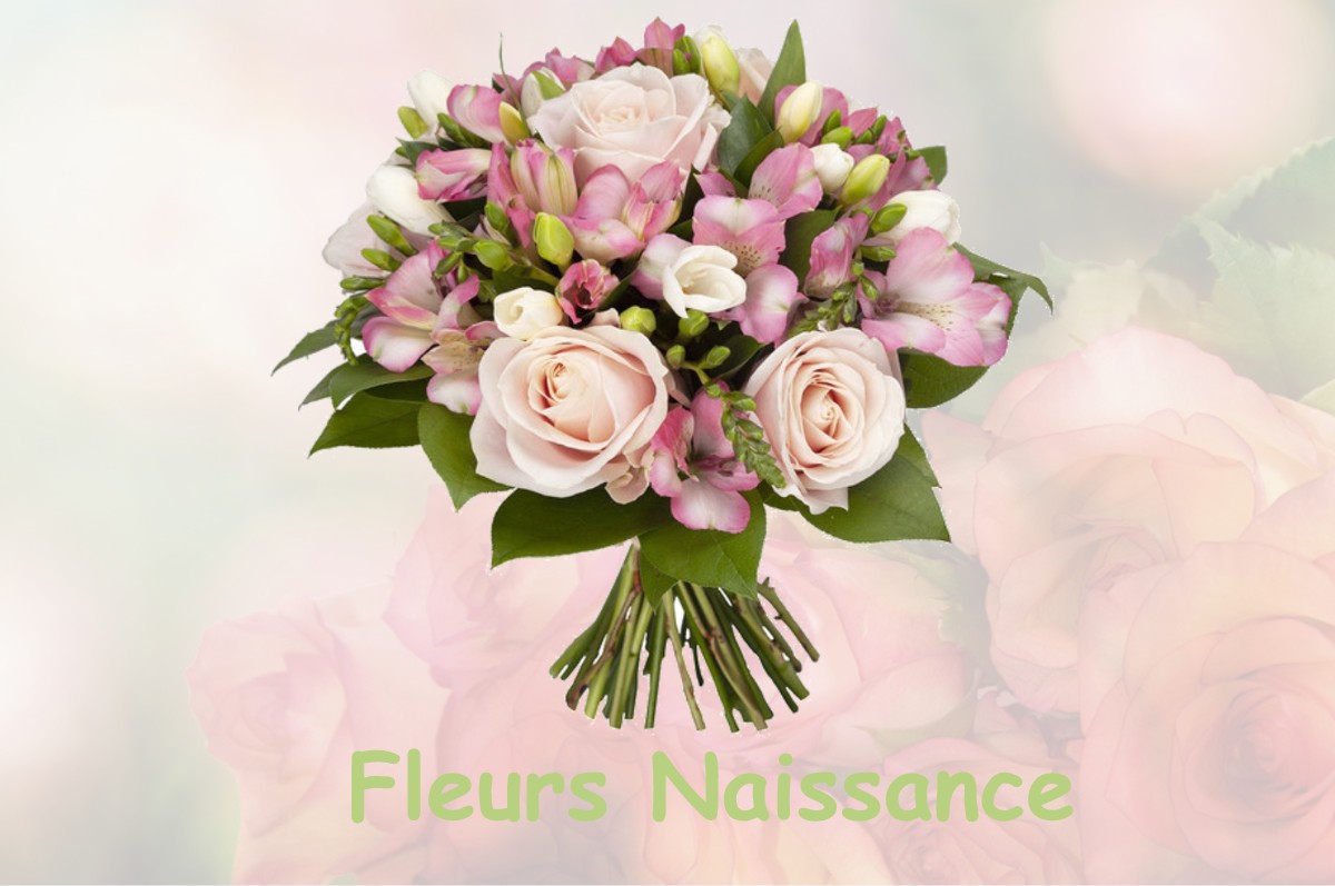 fleurs naissance SAINT-PIERRE-DE-FURSAC